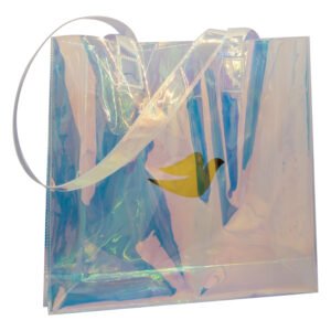 Holographic Bag