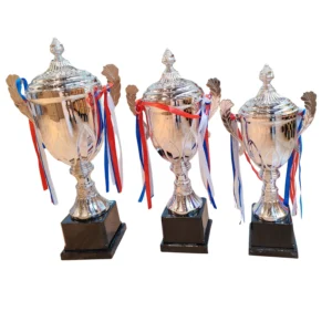 Customizable Winner Trophy Cups